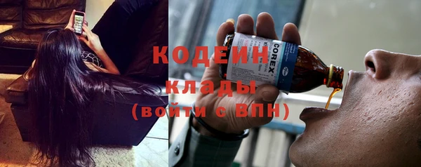 крисы Липки