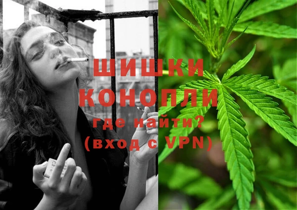 молекула духа Лихославль