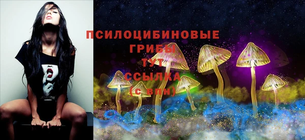 прущие грибы Лиски