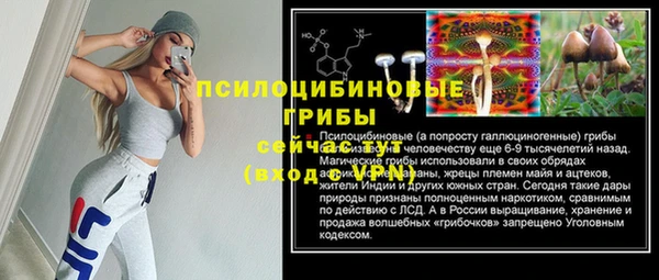 прущие грибы Лиски
