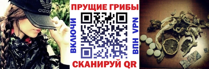 Галлюциногенные грибы мухоморы  наркотики  Мценск 