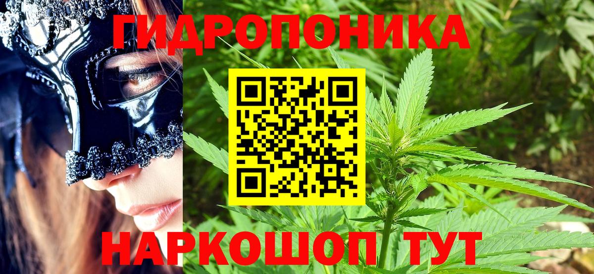 Конопля Bruce Banner  Вход с VPN  Марихуана VHQ  Мценск  Канабис гибрид  Бошки марихуана план 